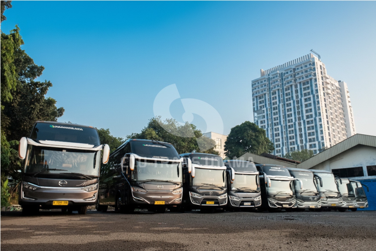 Mengetahui Kapasitas Medium Bus dan Big Bus Pariwisata Sebelum Menyewa